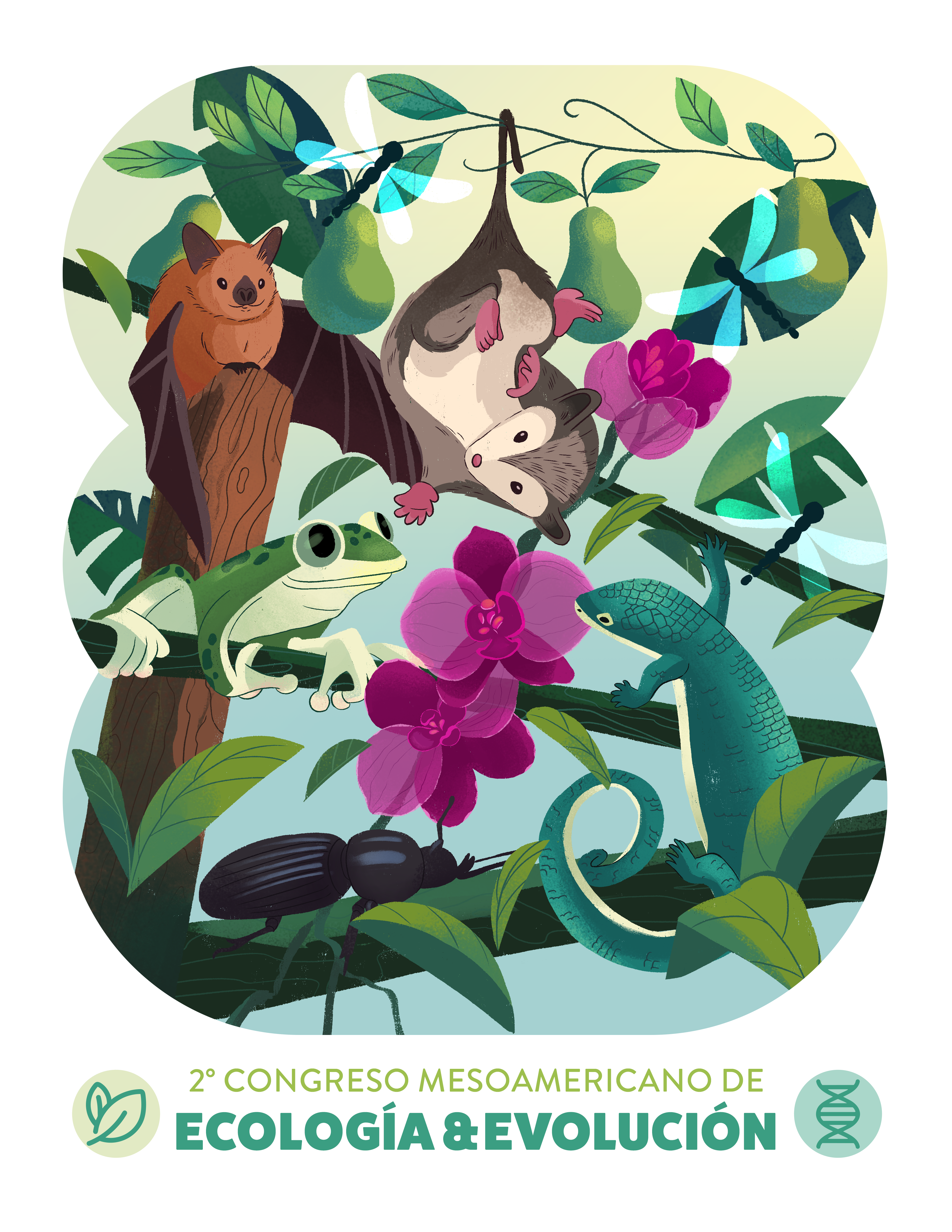 Arte II Congreso ECOEVO 2025 - versión noche